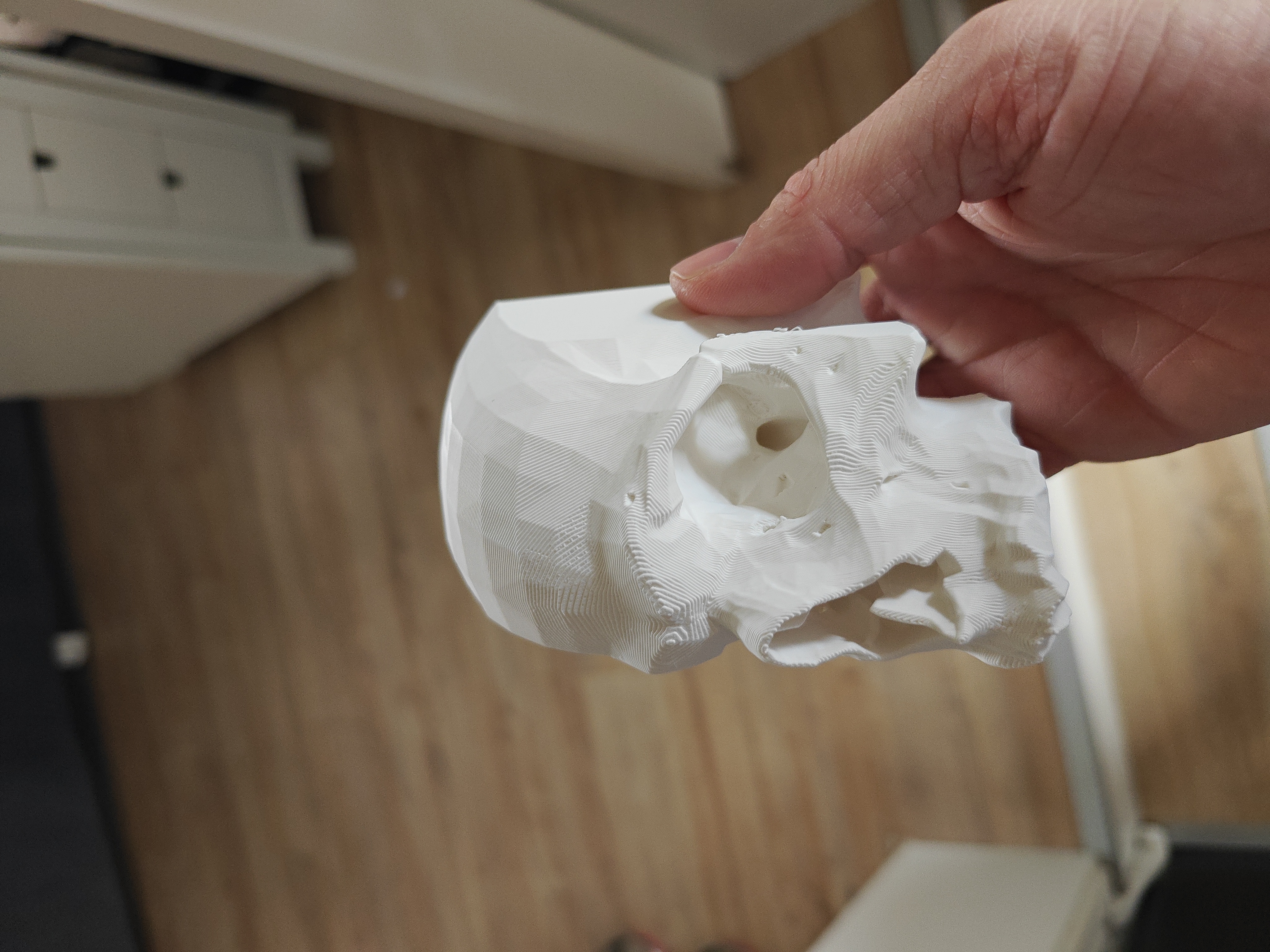 Book Nook - Skull Soleto - White - 2026-02-15-13-49-44-061.jpg