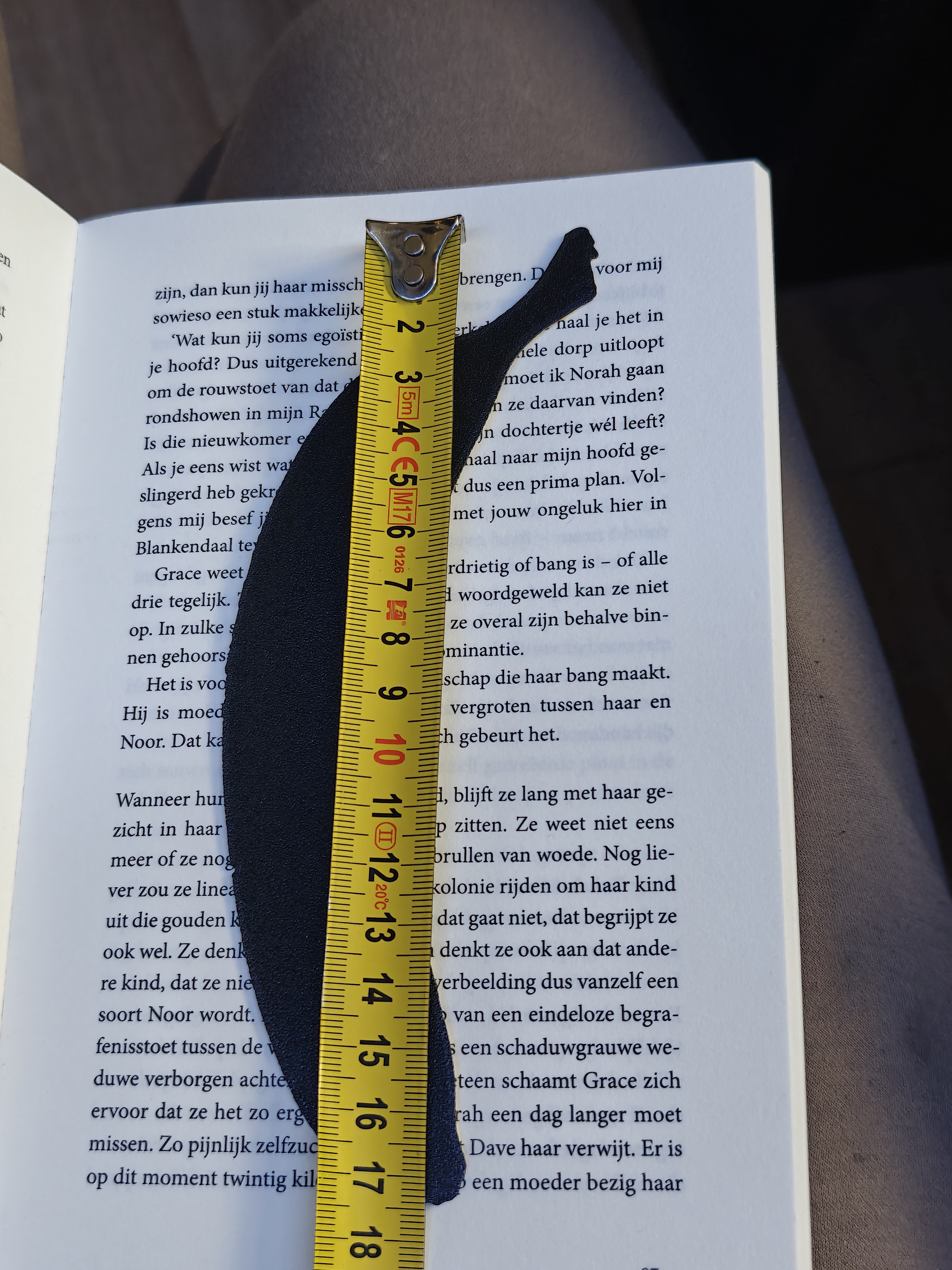 Bookmark - Banaan- z29vn1 - IMG20250604174231.jpg