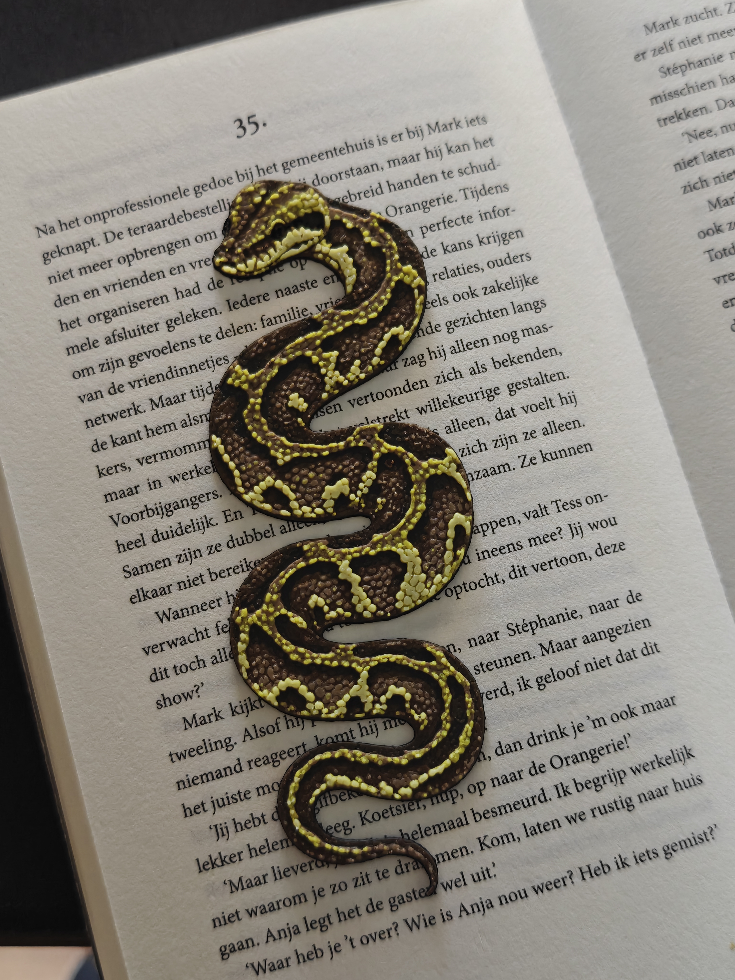 Bookmark - Python - (Brown-Yellow) - r7q9x2 - IMG20250612174934.jpg