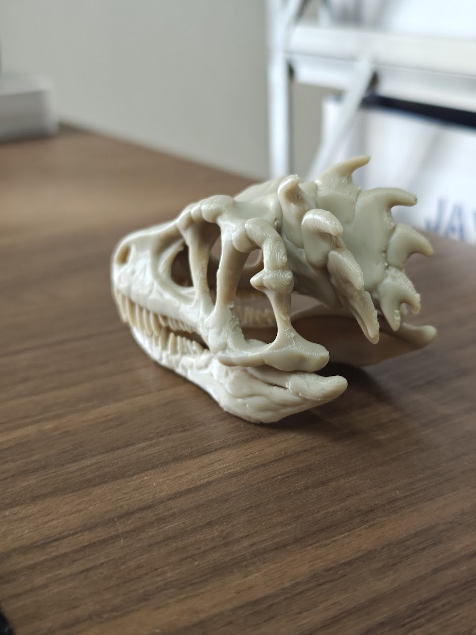 Dinosaur fossil - (burly wood) - 8cm - h2j8s7 - IMG20250527144023.jpg