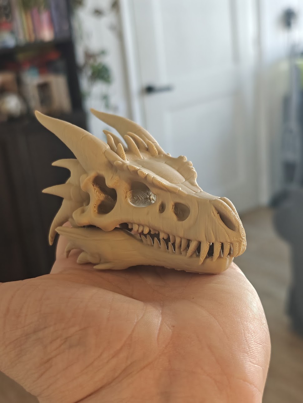 Drakenfossiel - (burlywood) - 10cm - 6m8b9w