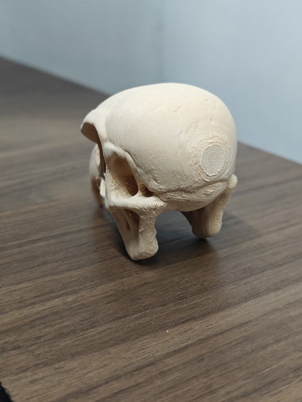 Falcon Skull - (beige) - 8cm - 3x8m9k - linksvoor.jpg
