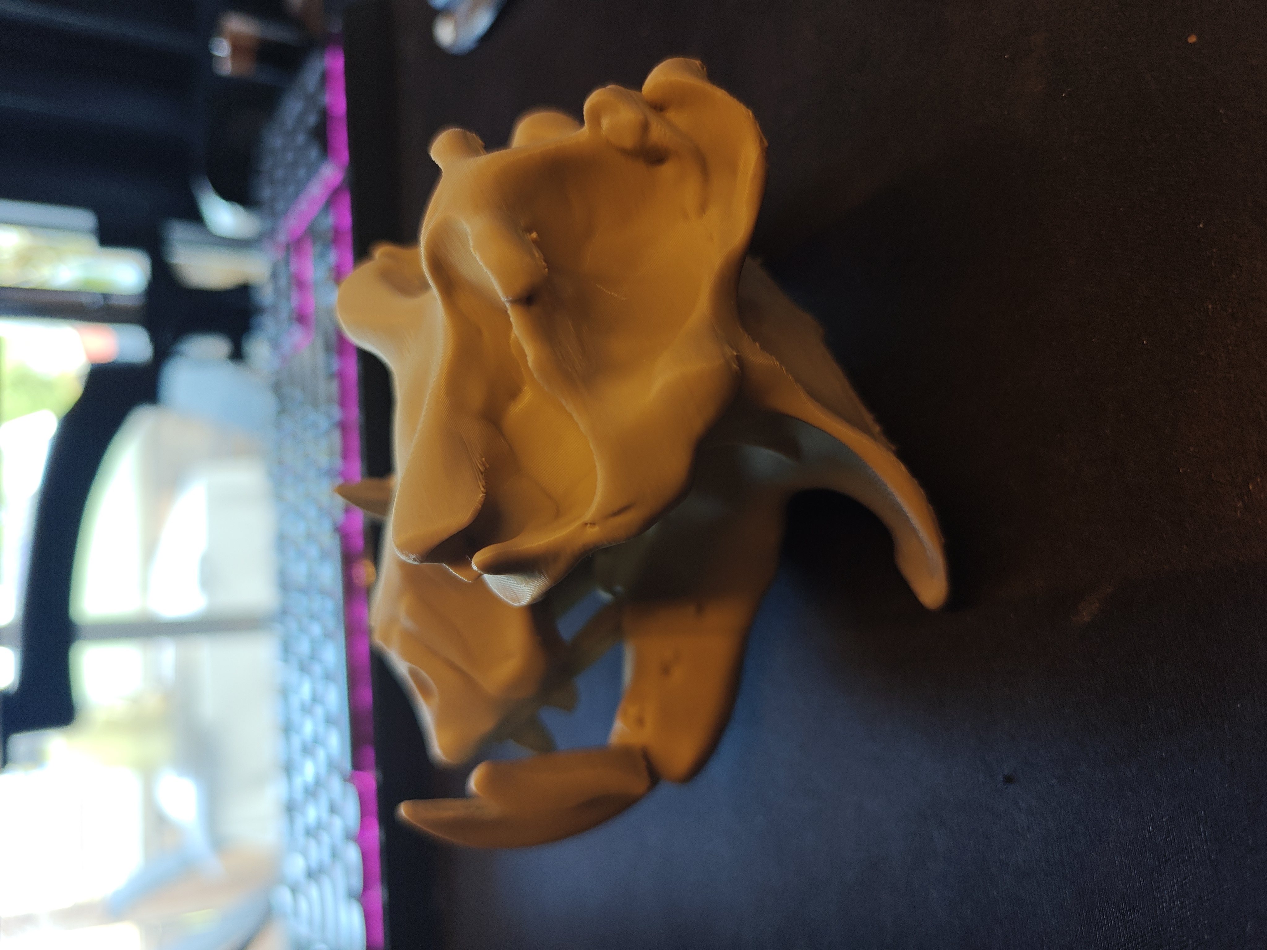 Hippo Skull - 15cm - (Beige) - X9H12A - 2026-04-24-17-32-40-945.jpg