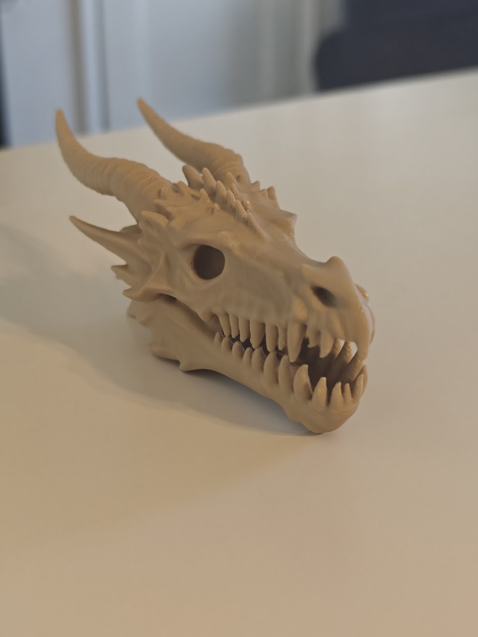 dragon skull fossil v2 - (burly-wood) - 13cm - 8g9f61 - IMG20250513121533.jpg