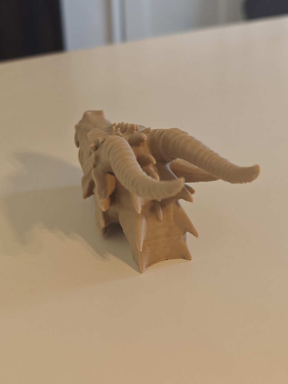 dragon skull fossil v2 - (burly-wood) - 13cm - 8g9f61 - IMG20250513121547.jpg
