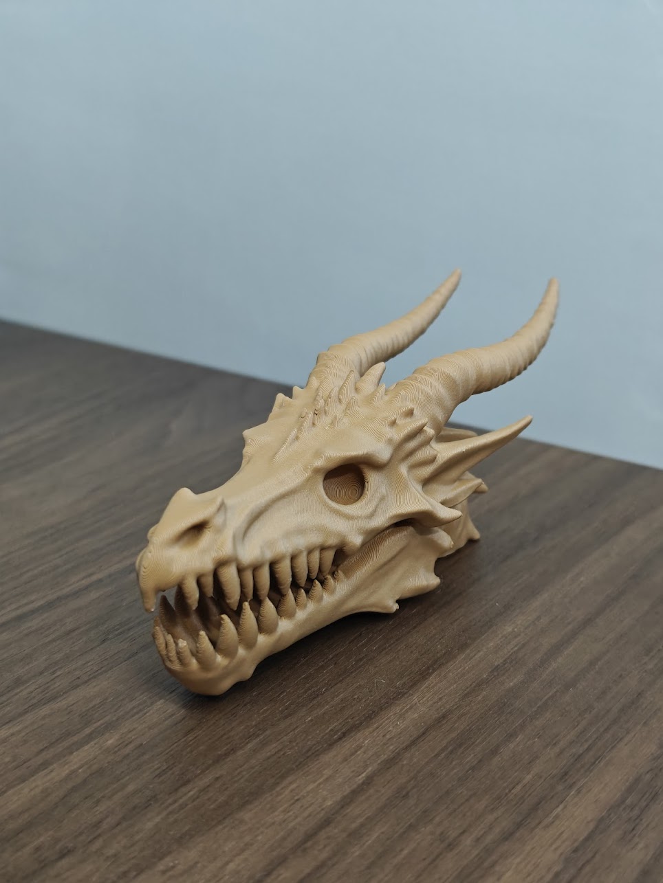 dragon skull fossil v2 - (terra wood) - 13cm - 2v6x9z - linksvoor.jpg