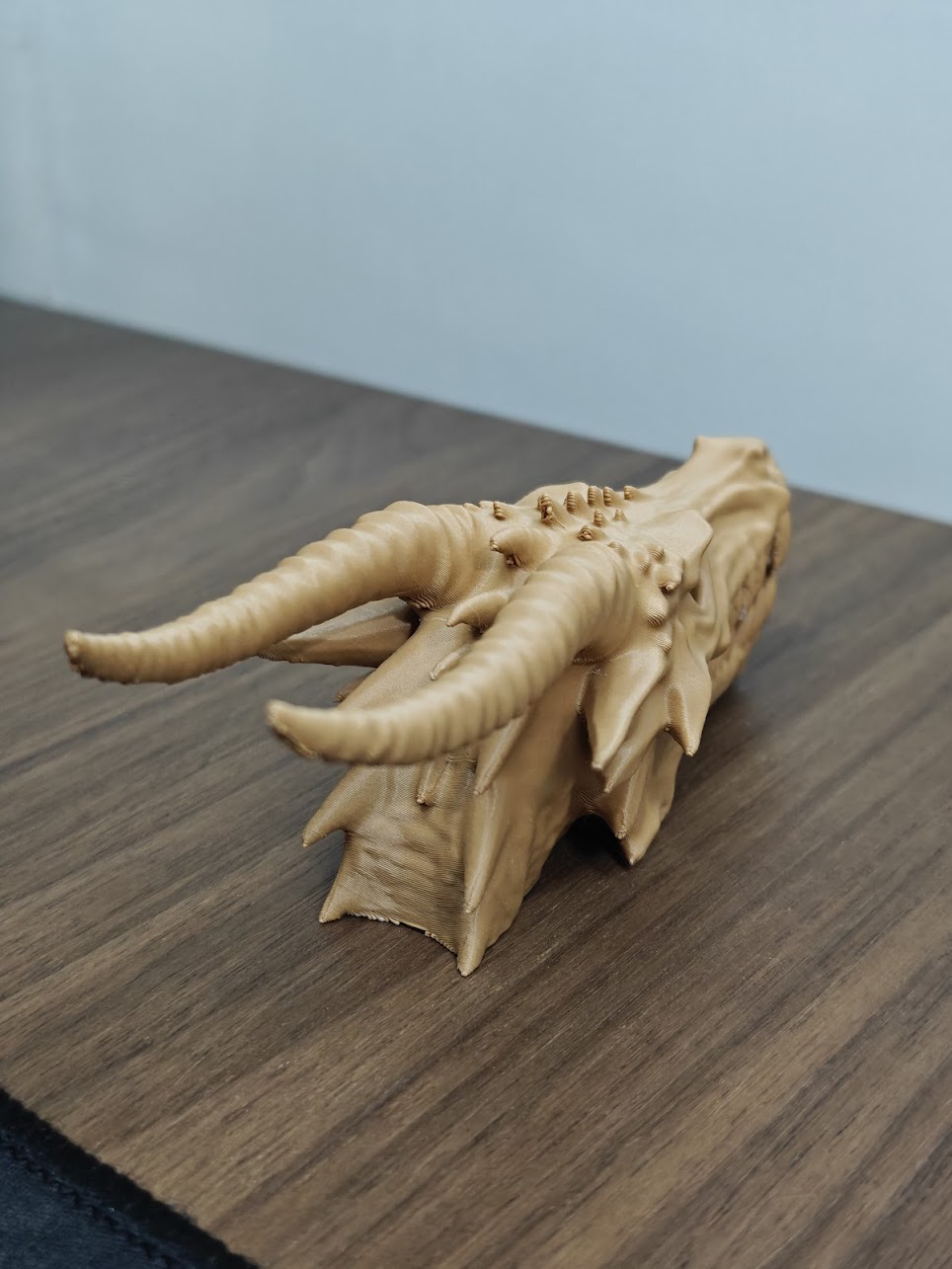 dragon skull fossil v2 - (terra wood) - 13cm - 2v6x9z - rechtsvoor.jpg